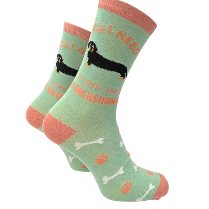 All I Need is Love and a Dachshund Socks - Size 4 - 8