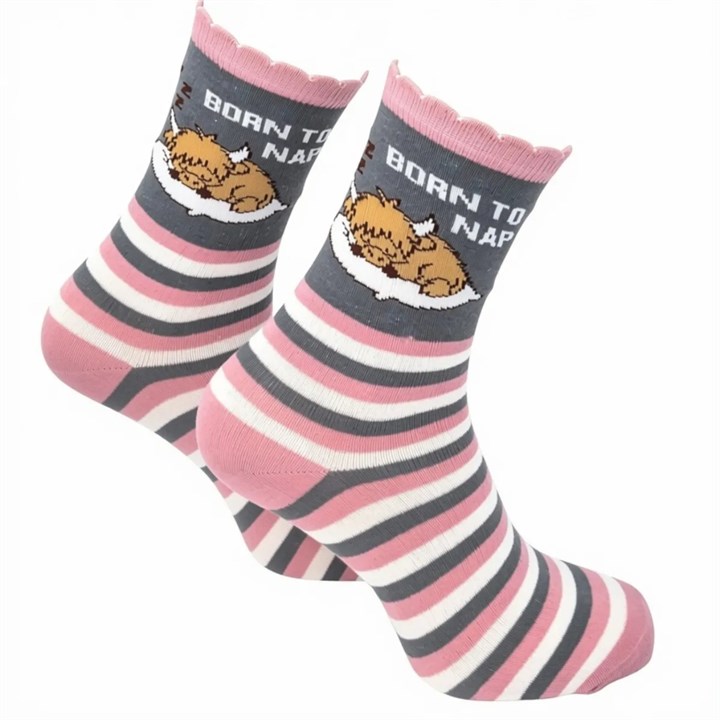 Born to Nap Socks - Size 4 - 8