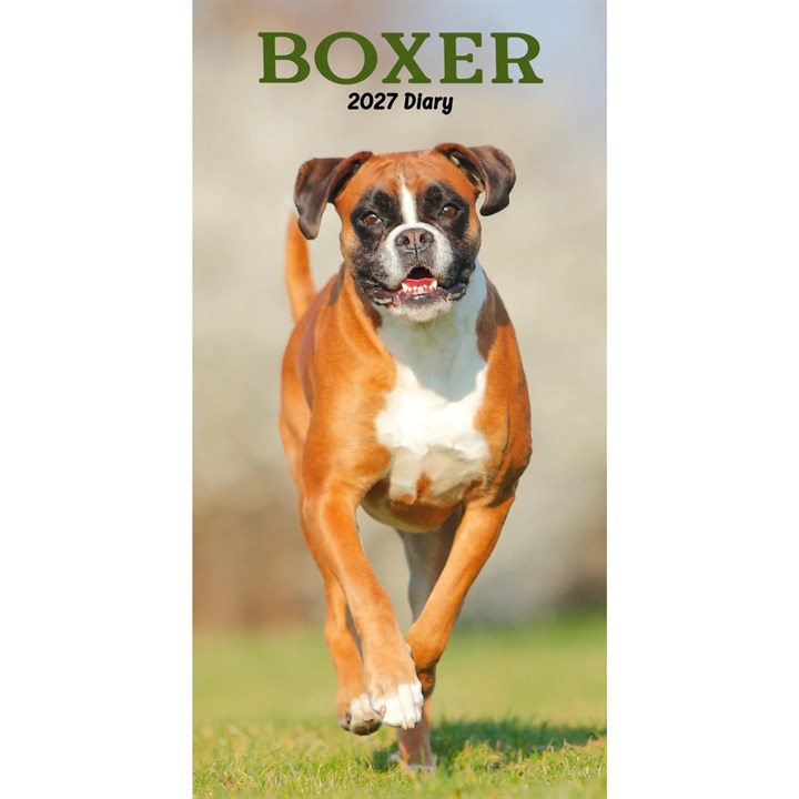 Boxers Slim Diary 2027
