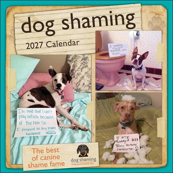 Dog Shaming Calendar 2027
