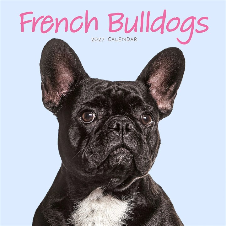 French Bulldogs Mini Calendar 2027