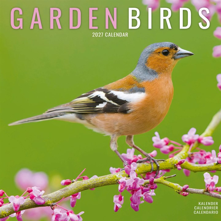 Garden Birds Calendar 2027
