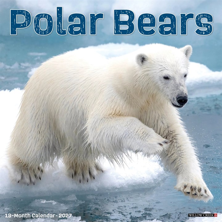 Polar Bears Calendar 2027