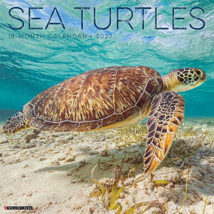 Sea Turtles Calendar 2027