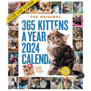365 Kittens A Year Deluxe Calendar 2024