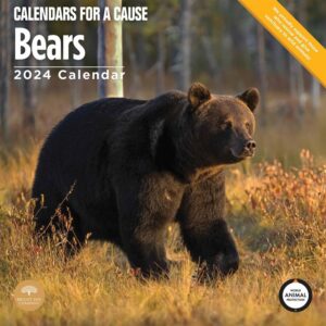 Bears Calendar 2024