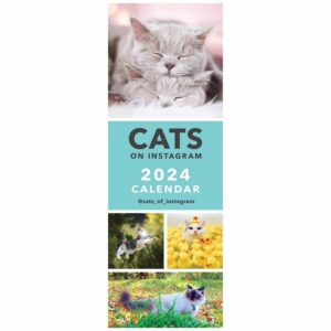 Cats On Instagram Slim Calendar 2024