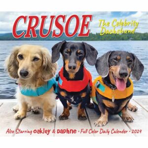 Crusoe The Dachshund Desk Calendar 2024