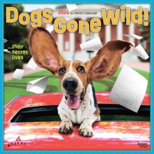 Dogs Gone Wild Calendar 2024