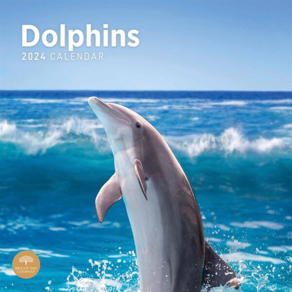 Dolphins Calendar 2024