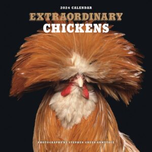 Extraordinary Chickens Calendar 2024