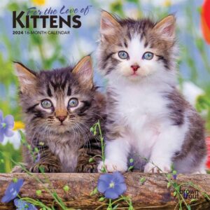 For The Love Of Kittens Mini Calendar 2024