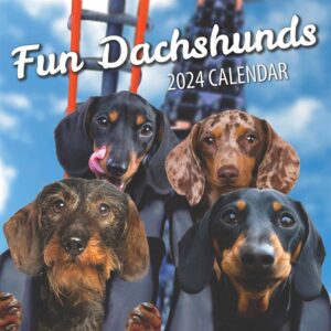 Fun Dachshunds Calendar 2024