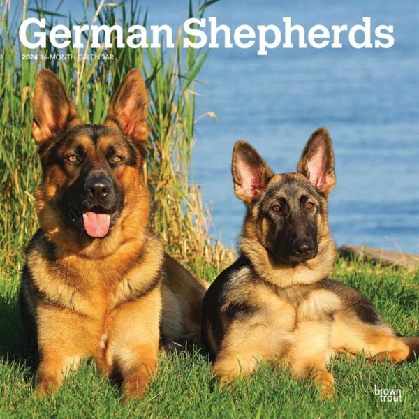 German Shepherds Calendar 2024 Desk Calendars