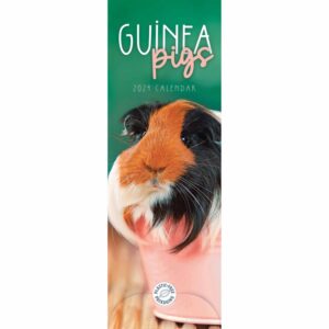 Guinea Pigs Slim Calendar 2024