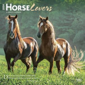 Horse Lovers Calendar 2024