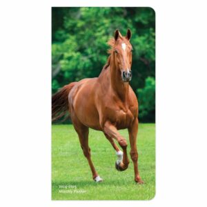 Horse Lovers Slim Monthly Diary 2024 - 2025