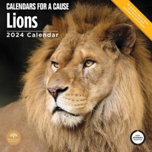 Lions Calendar 2024