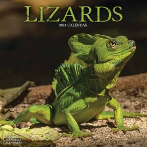 Lizards Calendar 2024
