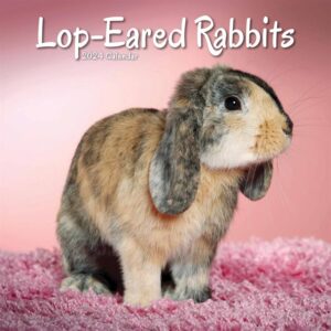 Lop-Eared Rabbits Calendar 2024
