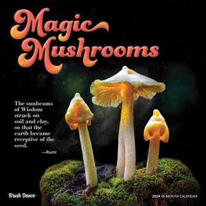 Magic Mushrooms Calendar 2024