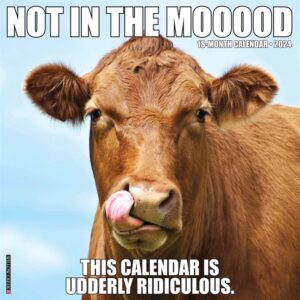 Not In The Mooood Calendar 2024