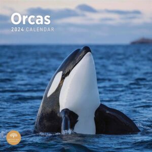Orcas Calendar 2024