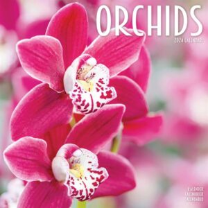 Orchids Calendar 2024