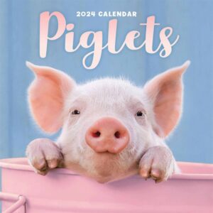 Piglets Mini Calendar 2024