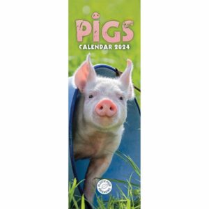 Pigs Slim Calendar 2024