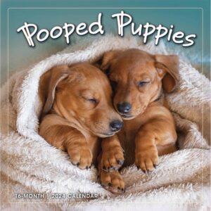 Pooped Puppies Calendar 2024