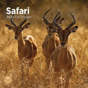 Safari Calendar 2024