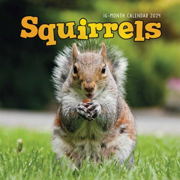 Squirrels Calendar 2024