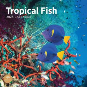Tropical Fish Calendar 2024