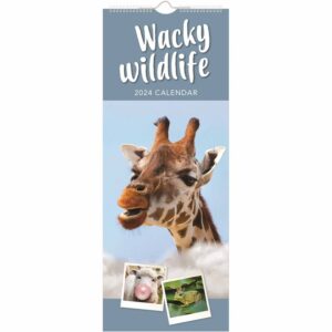 Wacky Wildlife Slim Calendar 2024