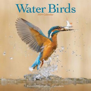 Water Birds Calendar 2024