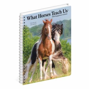 What Horses Teach Us A5 Diary 2024