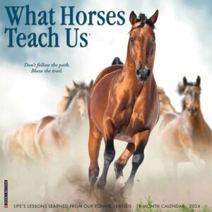 What Horses Teach Us Calendar 2024