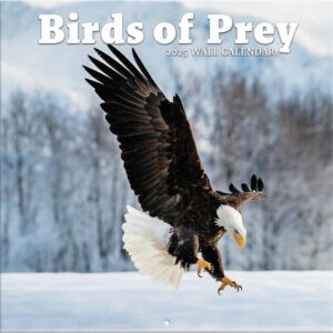 Birds of Prey Calendar 2025