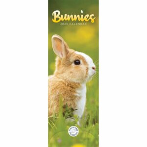 Bunnies Slim Calendar 2025