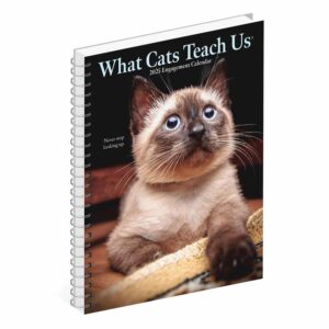 What Cats Teach Us A5 Diary 2025
