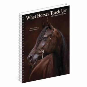 What Horses Teach Us A5 Diary 2025