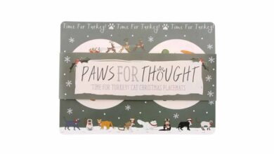 Christmas Cat Feeding Placemats