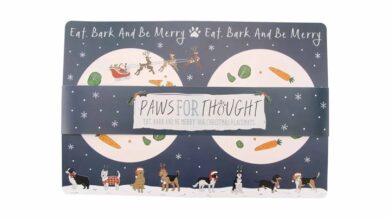 Christmas Dog Feeding Placemats