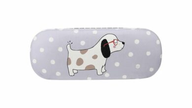 Barney The Dog Glasses Case