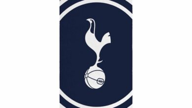Tottenham Hotspur FC Pulse Towel
