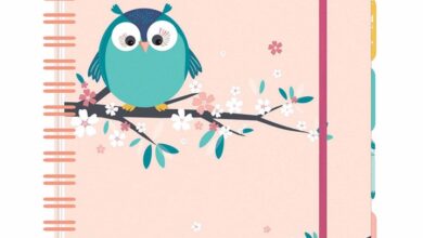 Little Owl A5 Tabbed Organiser