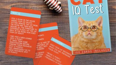 Cat IQ Cards