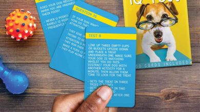 Dog IQ Cards
