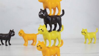 Catastrophe Game